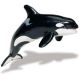 Safari MSL Killer Whale 210202