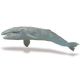 Safari MSL Gray Whale 210402