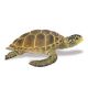 Safari SL Loggerhead Turtle 220229