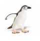 Safari SL Chinstrap Penguin 220429
