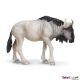Safari WSW Wildebeest / Gnoe 222829