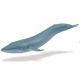 Safari SL Blue Whale 223229