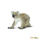 Safari WSW Koala 225329