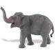 Safari WSW Asiatischer Elefant 227529