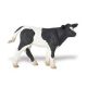 Safari SF Holsteinkalb schwarz weiss 232729