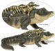 Safari IC Alligator mit Babies 259629