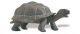 Safari IC Galapagos Schildkrötenbaby 260829