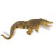 Safari IC Salzwasserkrokodil 262629