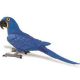 Safari WB Hyacinth Macaw 264229