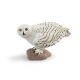Safari WB Snowy Owl 264729