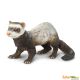 Safari IC Ferret 265929