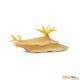 Safari IC Nudibranch 266129