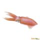 Safari IC Reef Squid 266229
