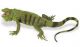 Safari IC Grüner Leguan 267729