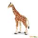 Safari WSW Giraffe 270629