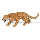 Safari WSW Leopard 271529