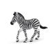 Safari WSW Zebrababy 271829