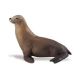 Safari SL Sea Lion 274229