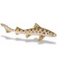 Safari SL Leopard Shark 274929