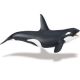 Safari SL Killer Whale 275129