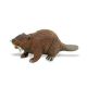 Safari NAW Beaver 283629