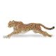 Safari WSW Gepard rennend 290429