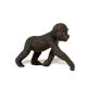 Safari WSW Gorillababy 294829