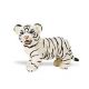 Safari WSW Weißes Bengalisches Tigerbaby 295029