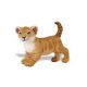Safari WSW Löwenbaby 295129