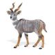 Safari WSW Kleiner Kudu 296229