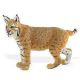 Safari NAW Luchs 297029