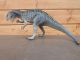 Carnegie Acrocanthosaurus 403901