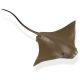 Safari SL Cownose Ray 422529
