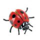 Safari IC Marienkäfer 542606