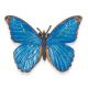 Safari IC Blauer Schmetterling 542806