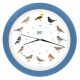 SV1001HB KooKoo® Zangvogels Wandklok Lichtblauw