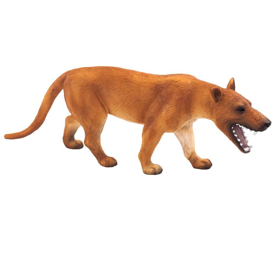 thumbnail image 2 of MOJO Hyaenodon Gigas Prehistoric Animal Figure 387157 - Educational Toy 2 of 4